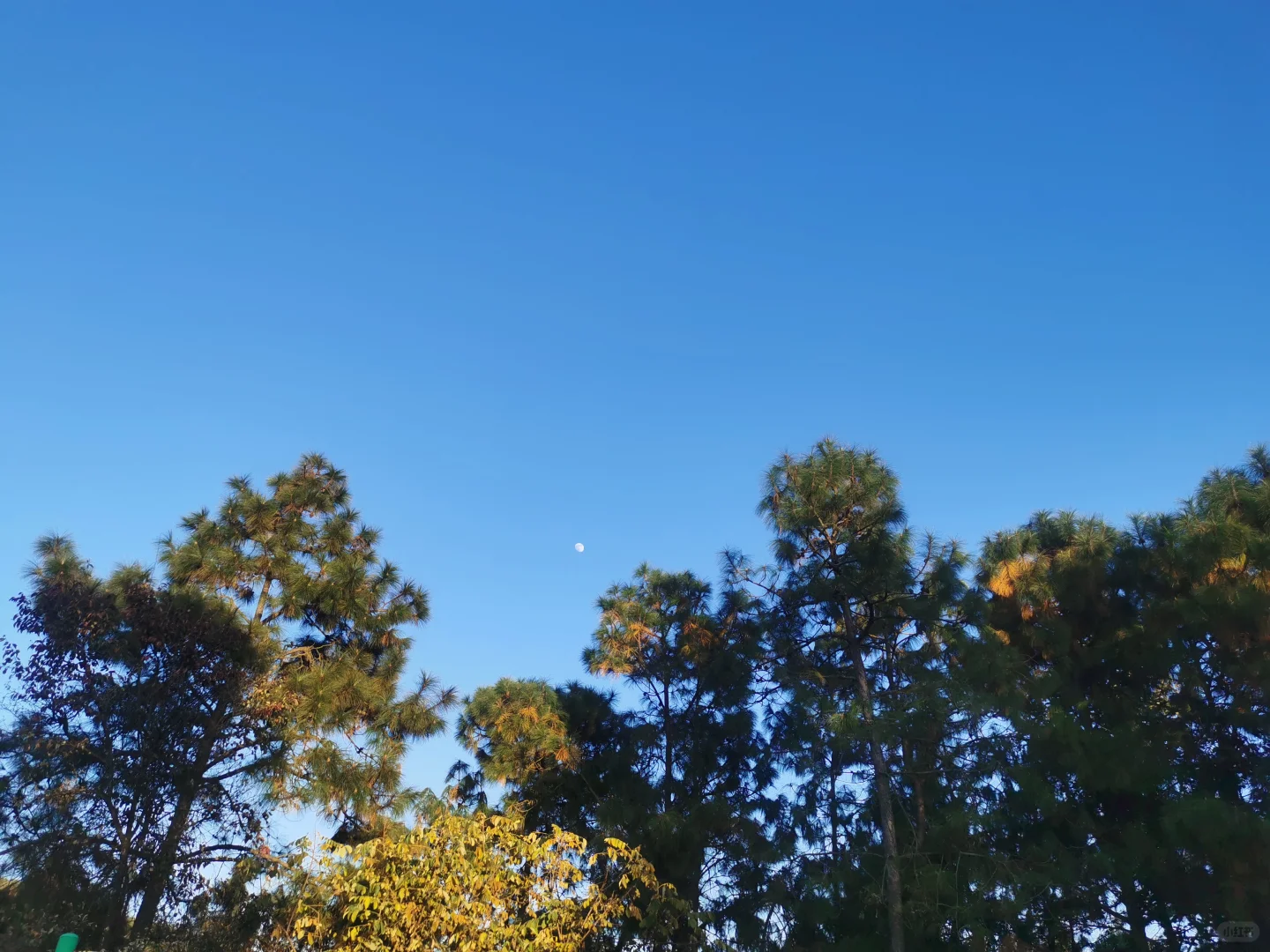 招聘三名代课老师