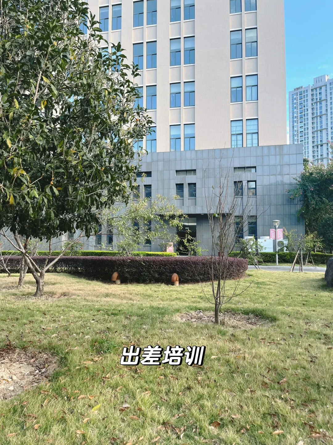 体制内编外｜jcy书记员入职第三个月了，