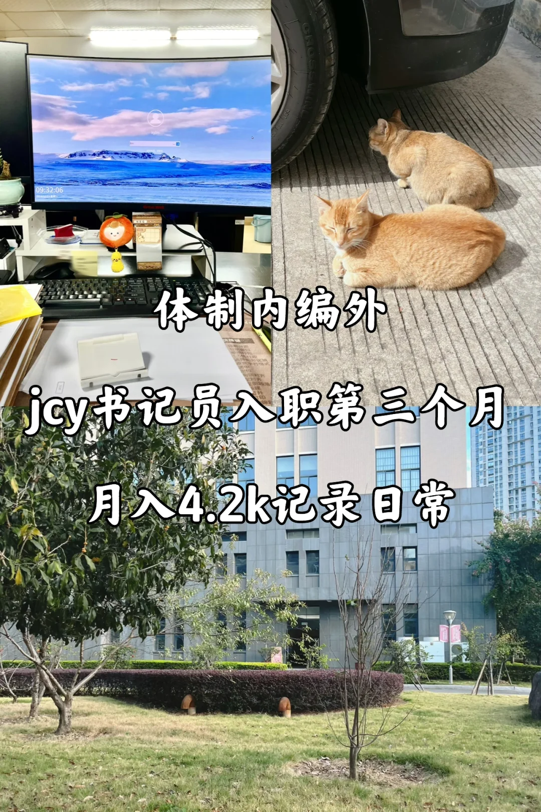 体制内编外｜jcy书记员入职第三个月了，