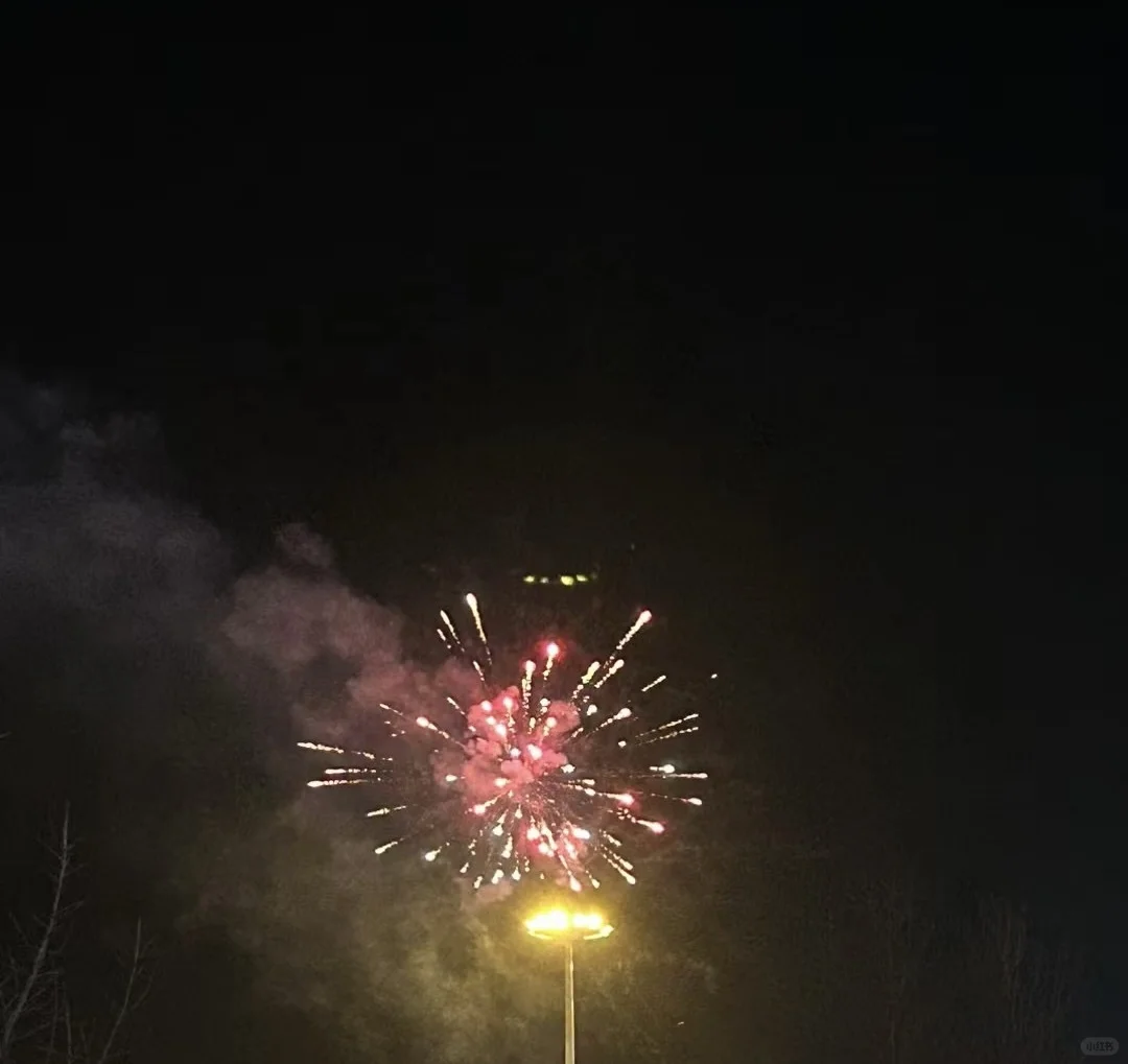 考虑再三还是放弃粤C编制咯