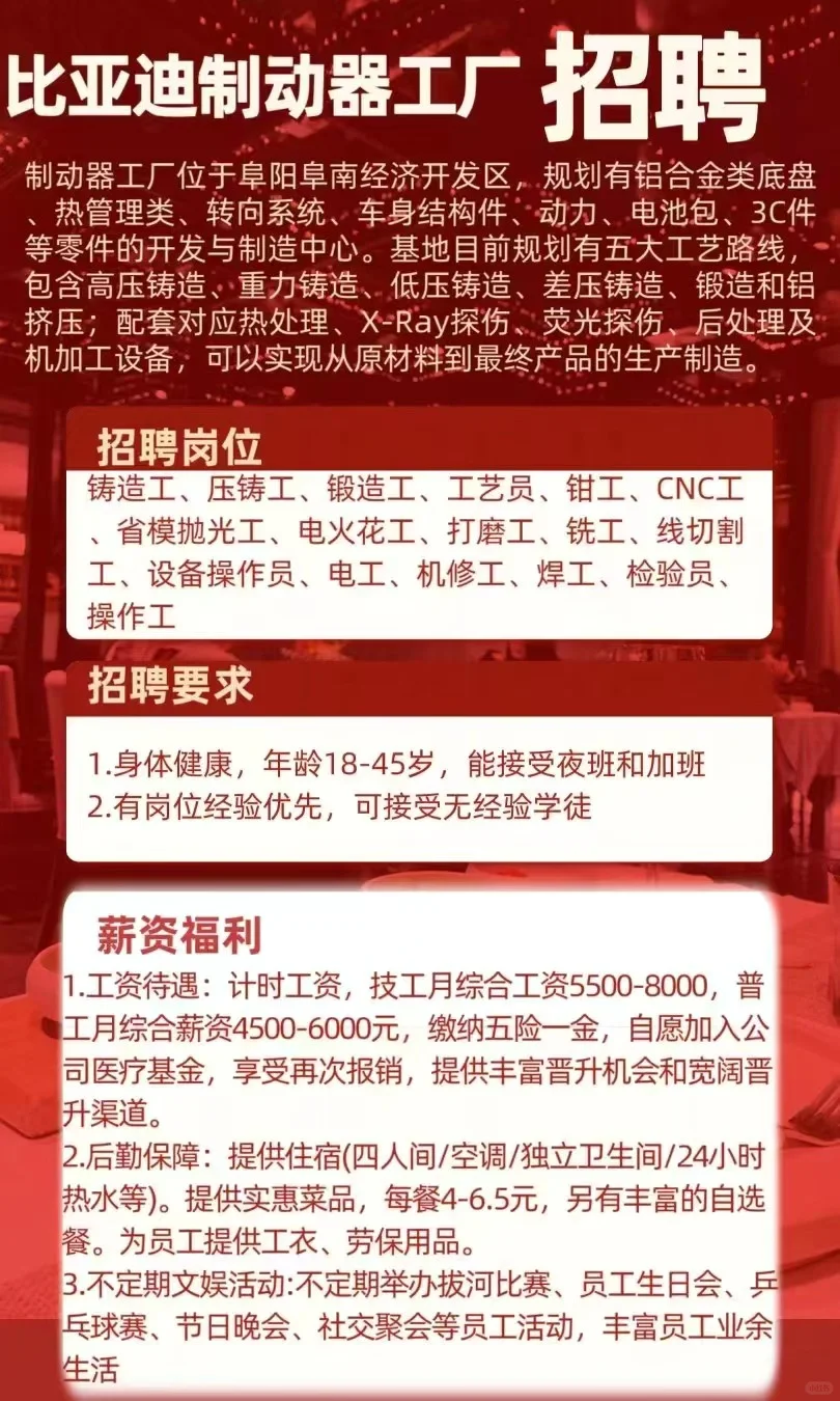 阜南比亚迪招工！