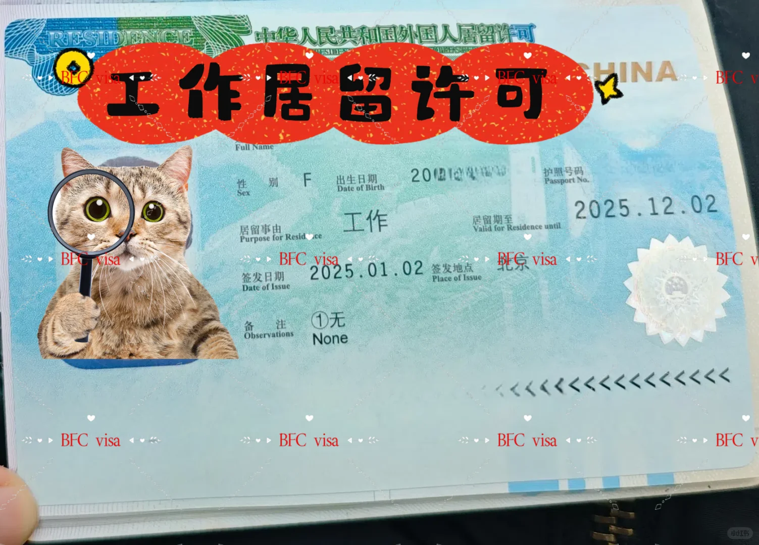 超详细DIY中国工作签证