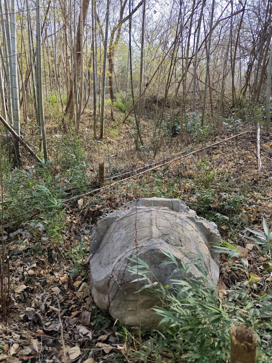 探秘明阁老墓：帝师荒冢五百年
