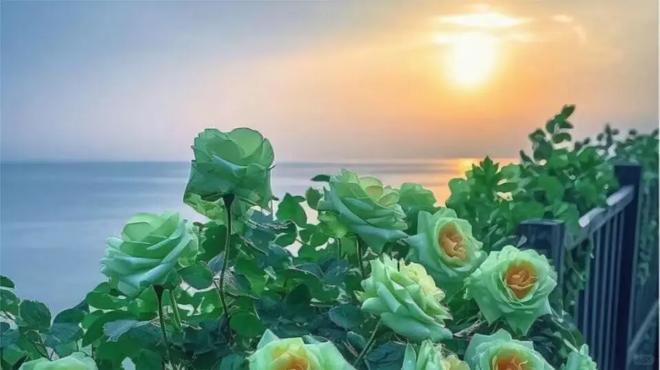 诚聘办公室文员