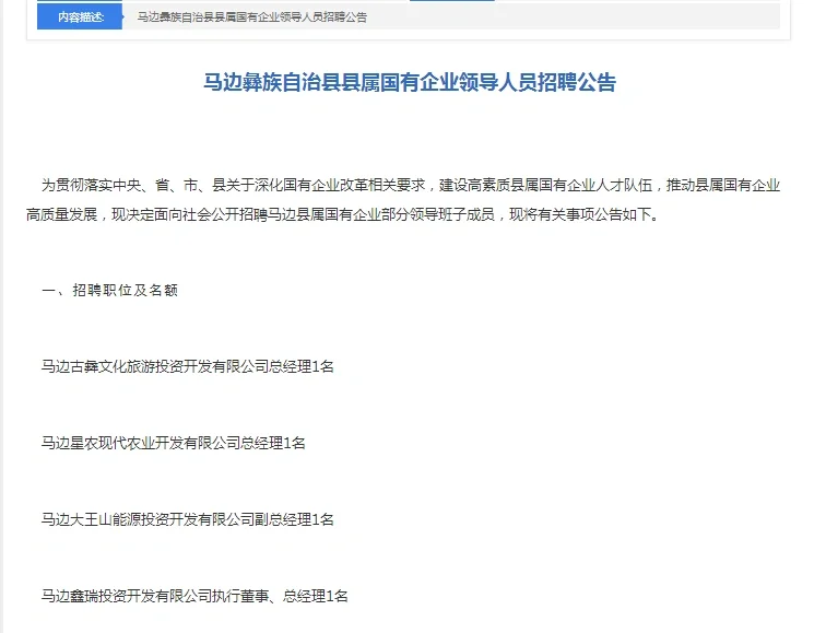 马边县属国有企业领导人员招聘公告