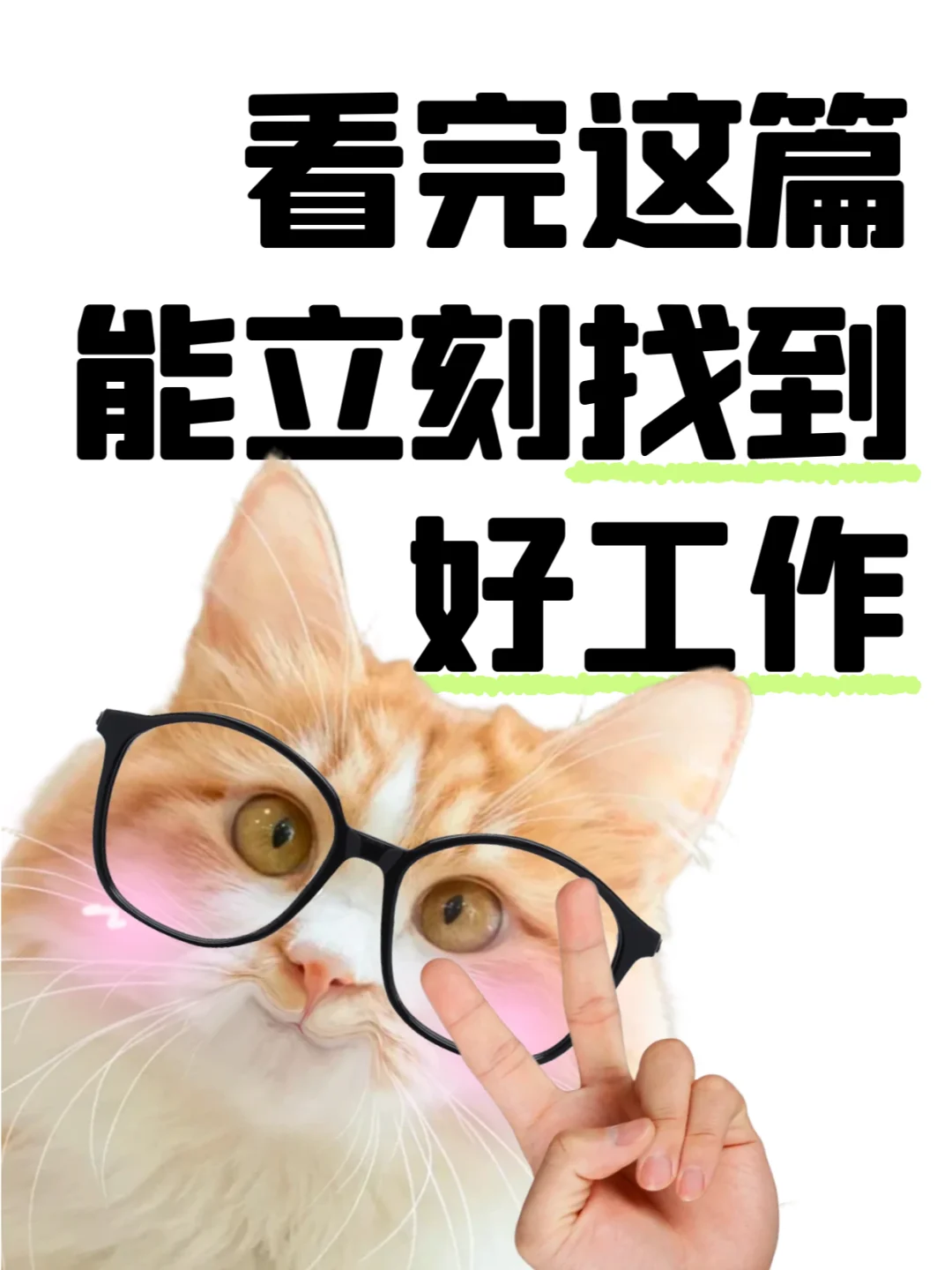 “巳”业有成，万事俱备“职等你来”！