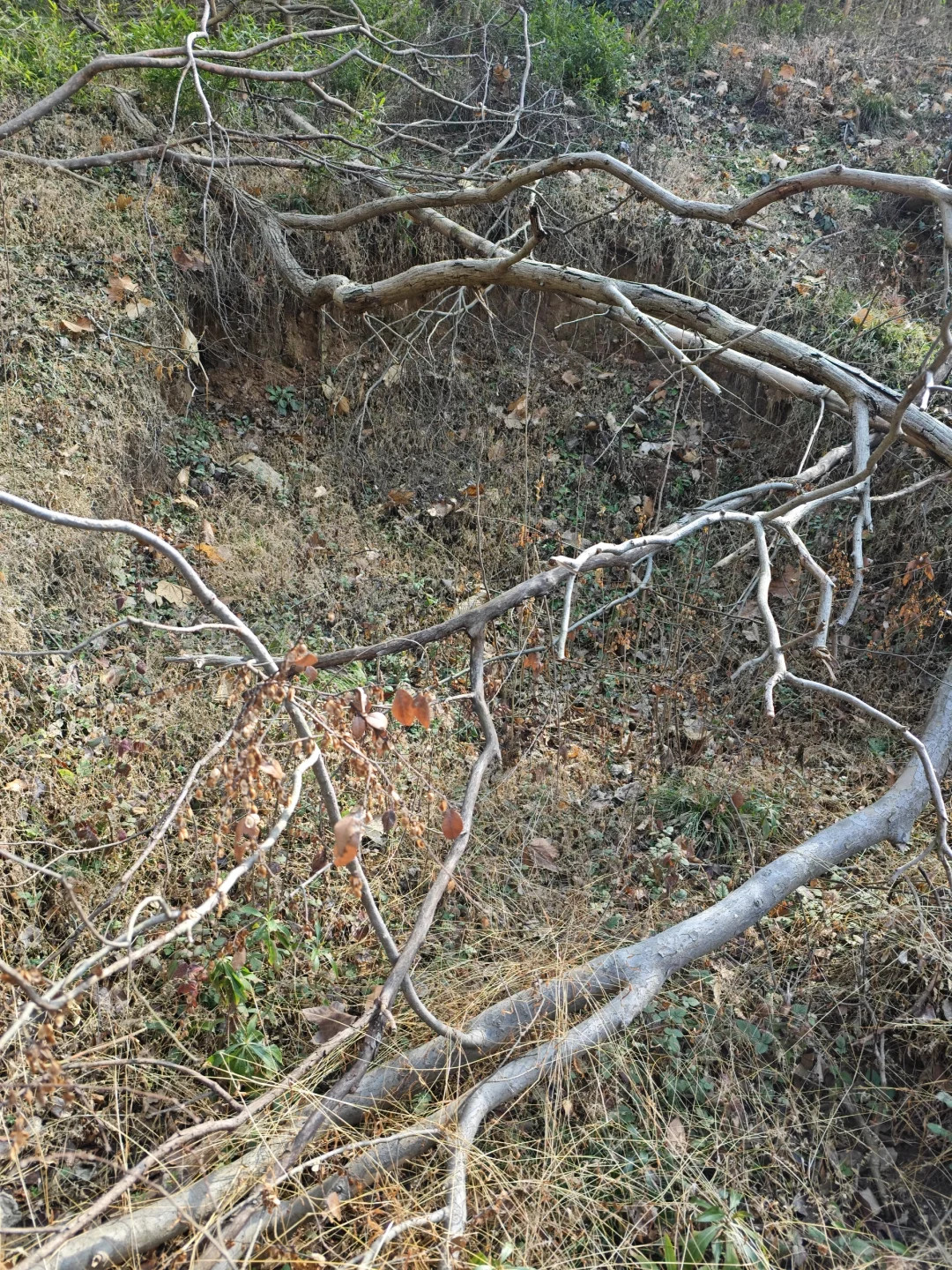 探秘明阁老墓：帝师荒冢五百年