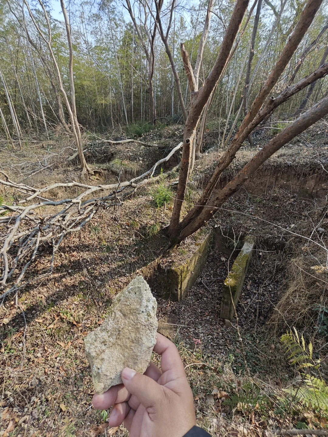 探秘明阁老墓：帝师荒冢五百年