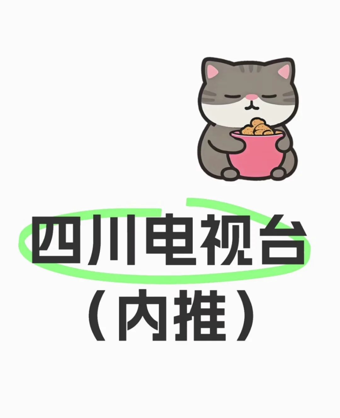 四川电视台 事业单位直签