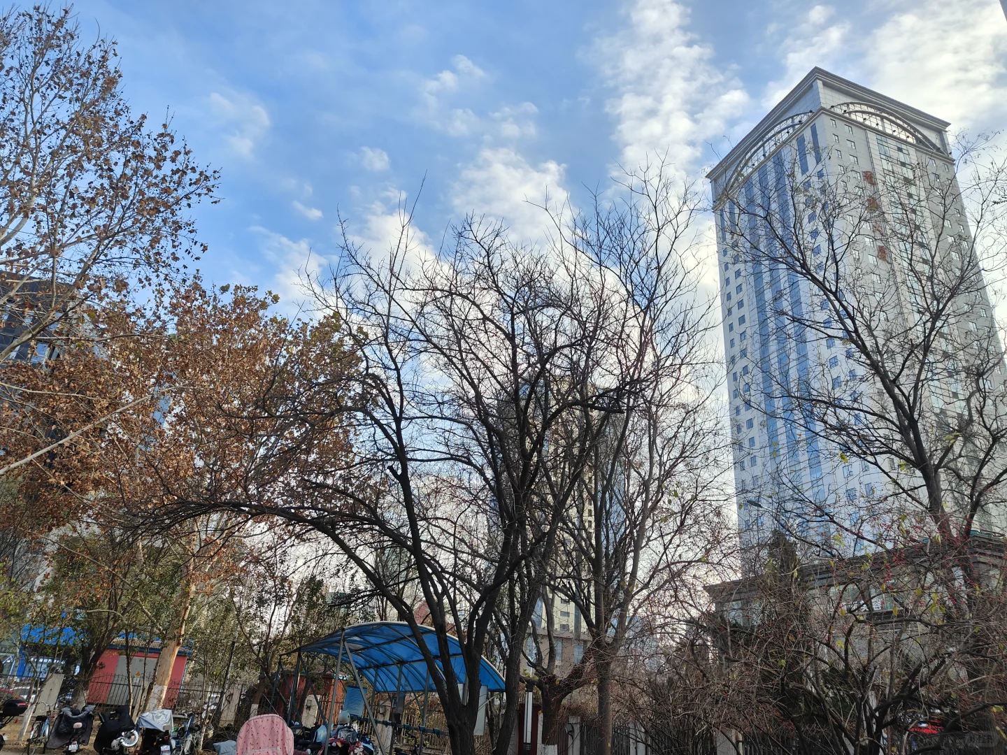 省公安厅vs市卫健委怎么选？