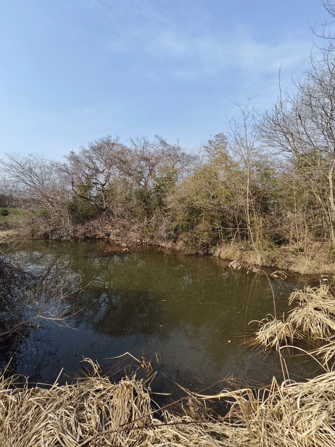 探秘明阁老墓：帝师荒冢五百年