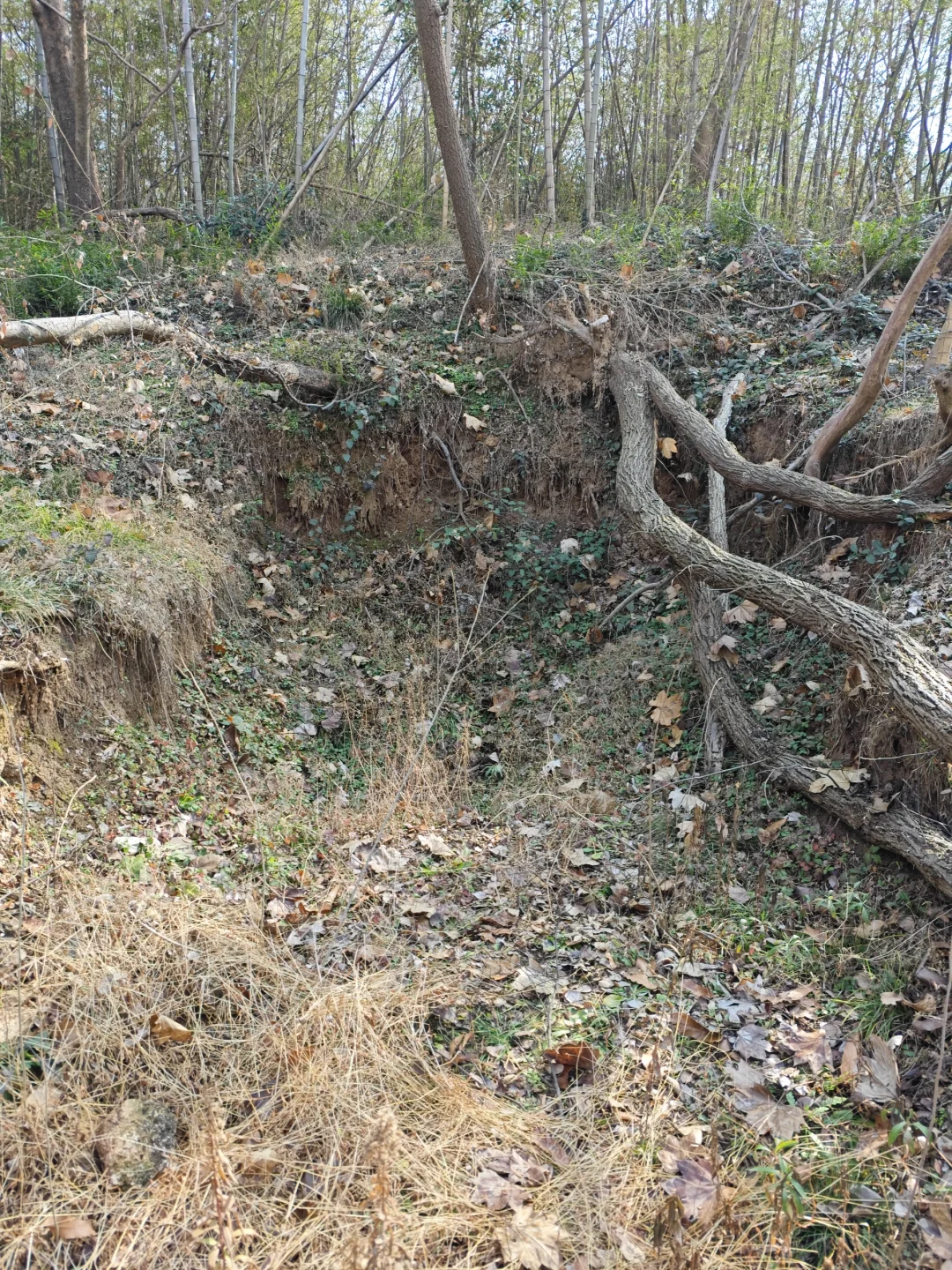 探秘明阁老墓：帝师荒冢五百年