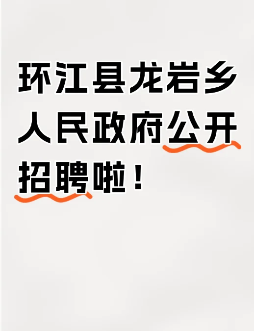 快看👀环江县龙岩乡人民政府招聘啦！