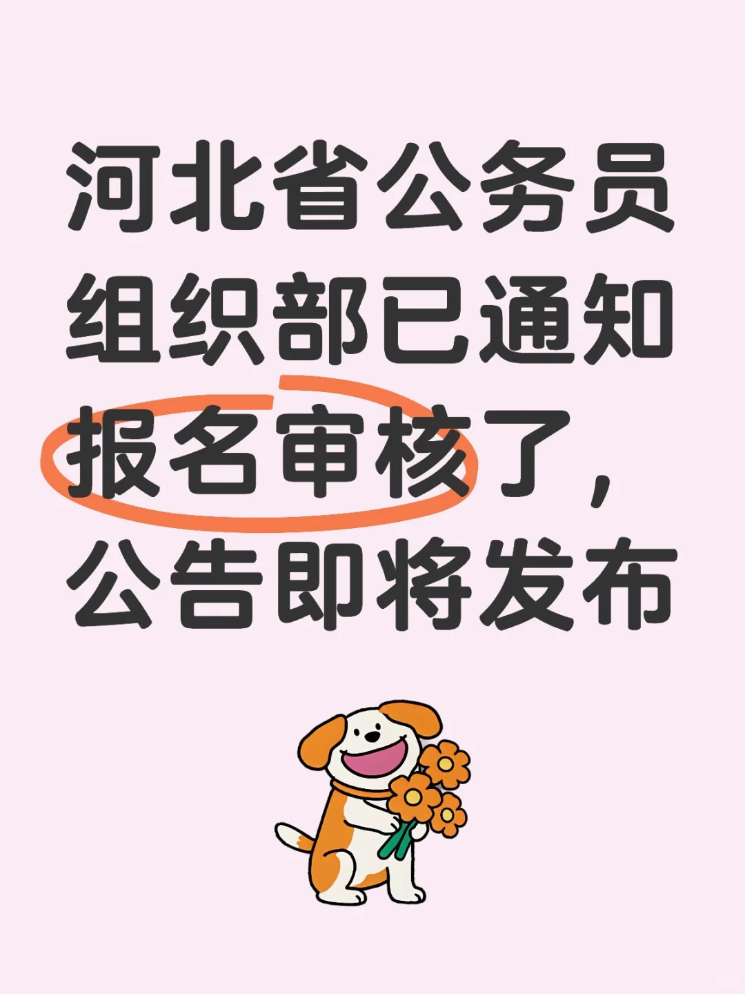 抓紧进群蹲公告