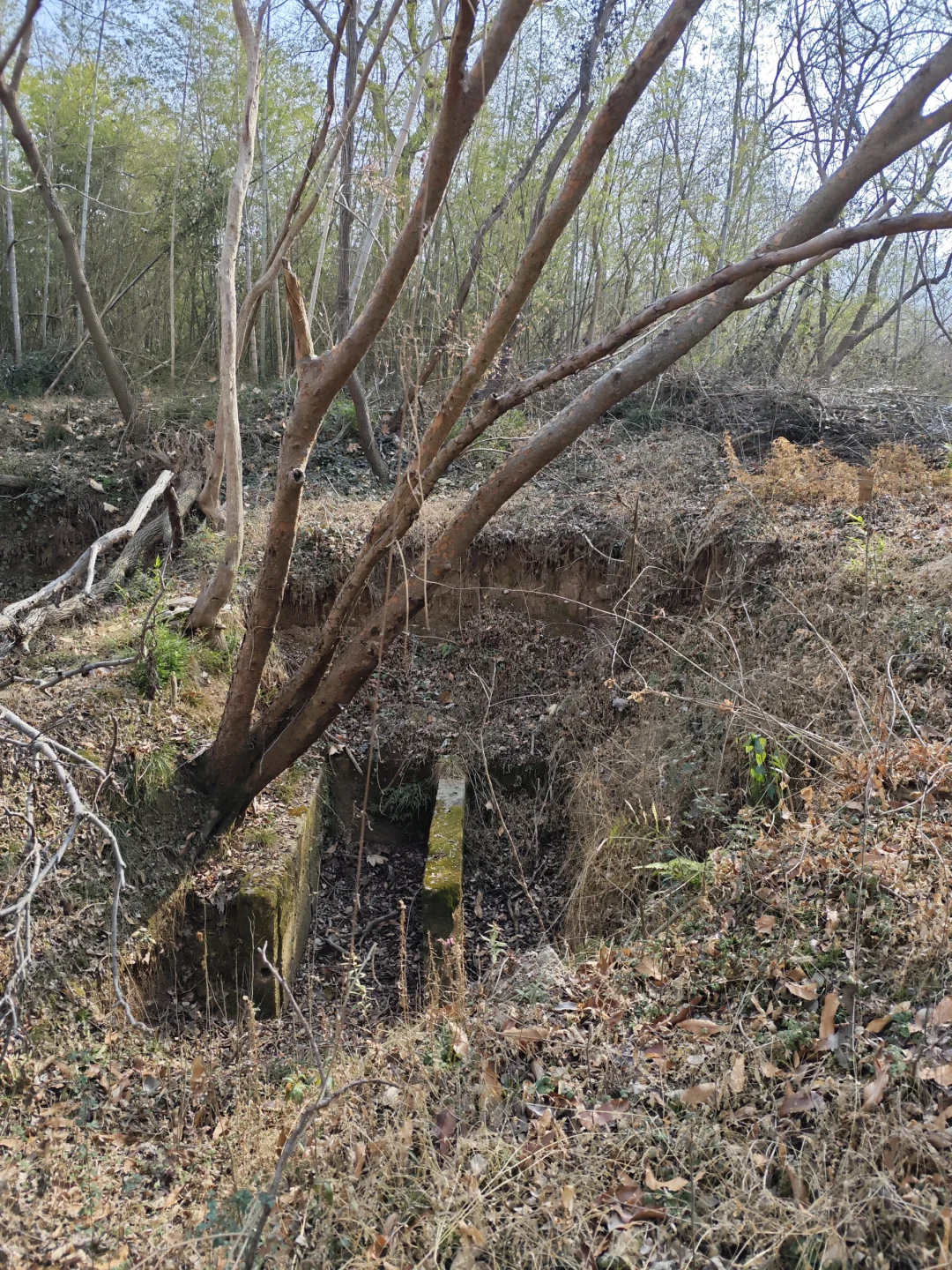 探秘明阁老墓：帝师荒冢五百年