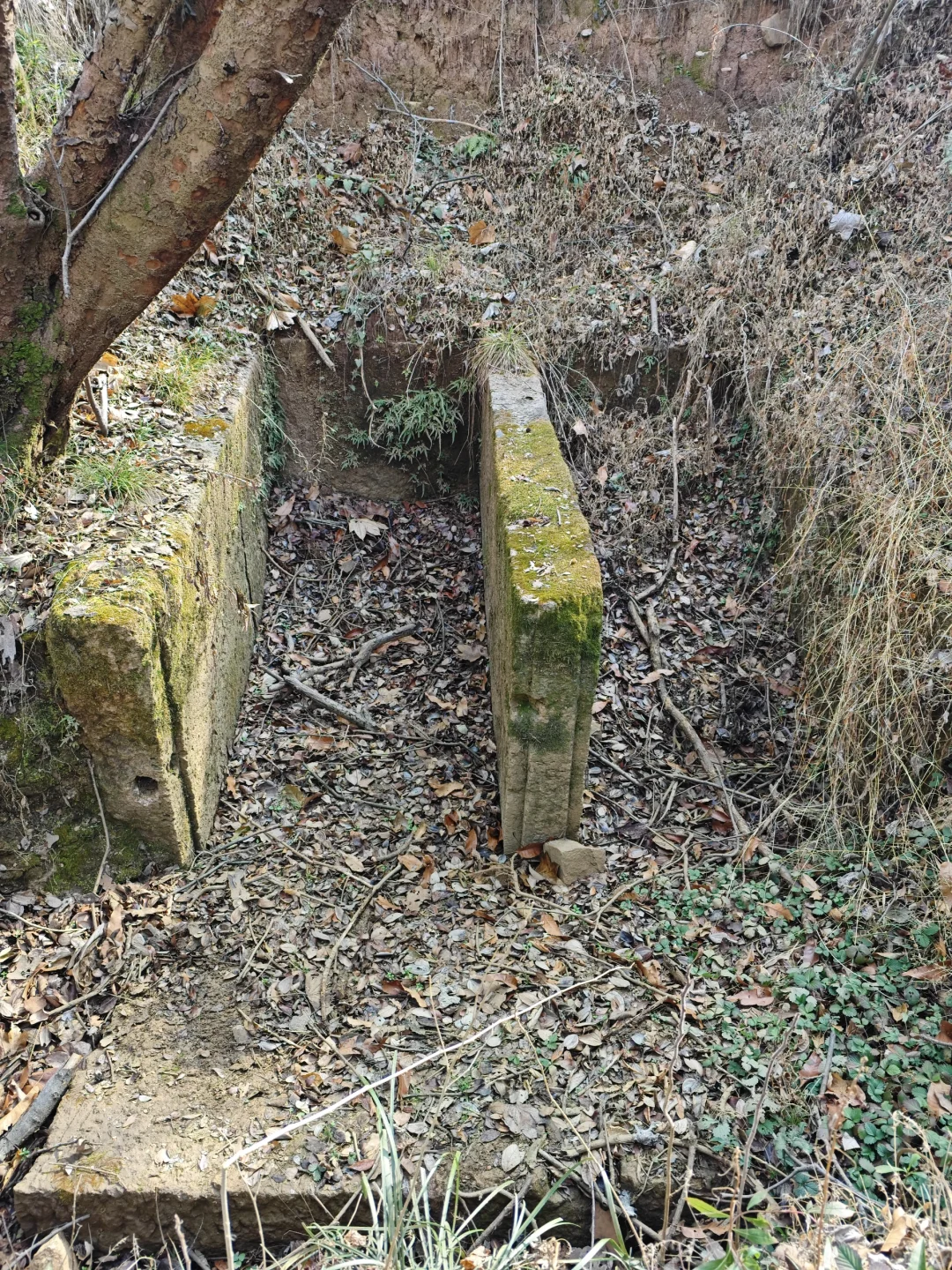 探秘明阁老墓：帝师荒冢五百年