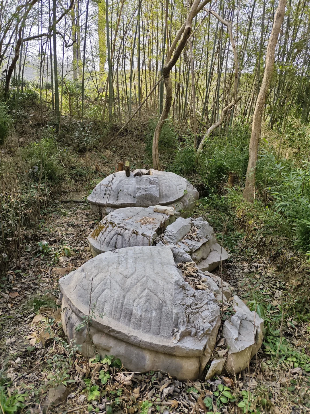 探秘明阁老墓：帝师荒冢五百年