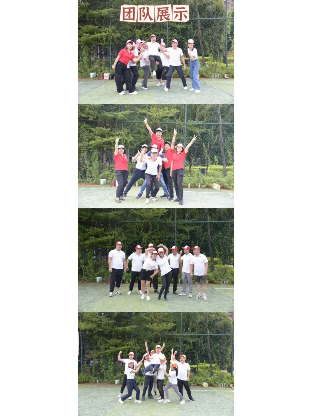 公司又又又又招人啦！