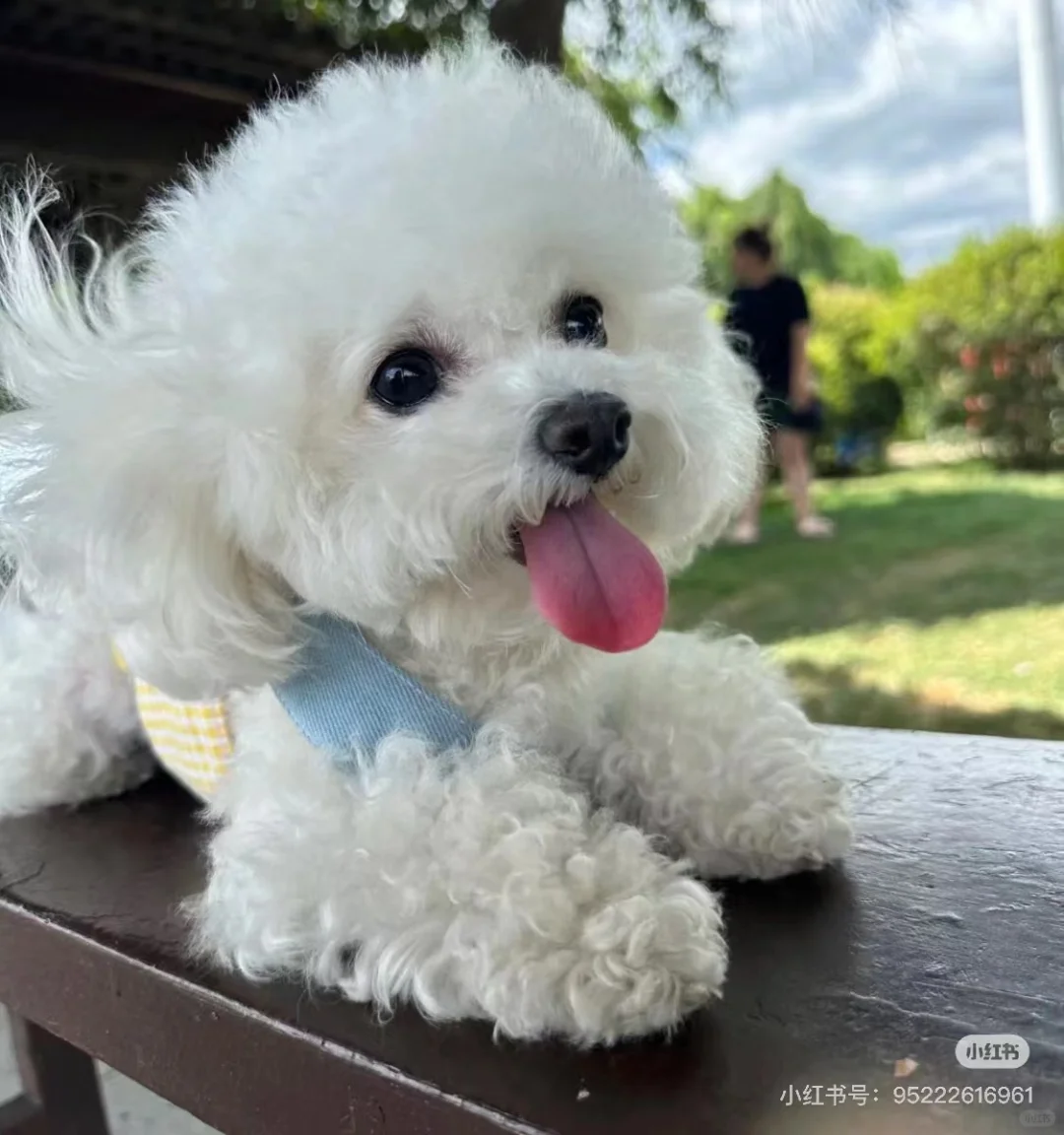 海宁地区有找工作的小伙伴吗？