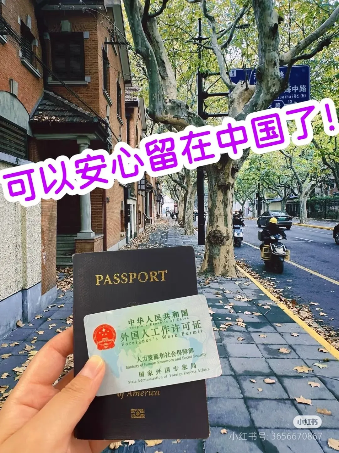 外国人自己成立了公司，为自己申请工作签证