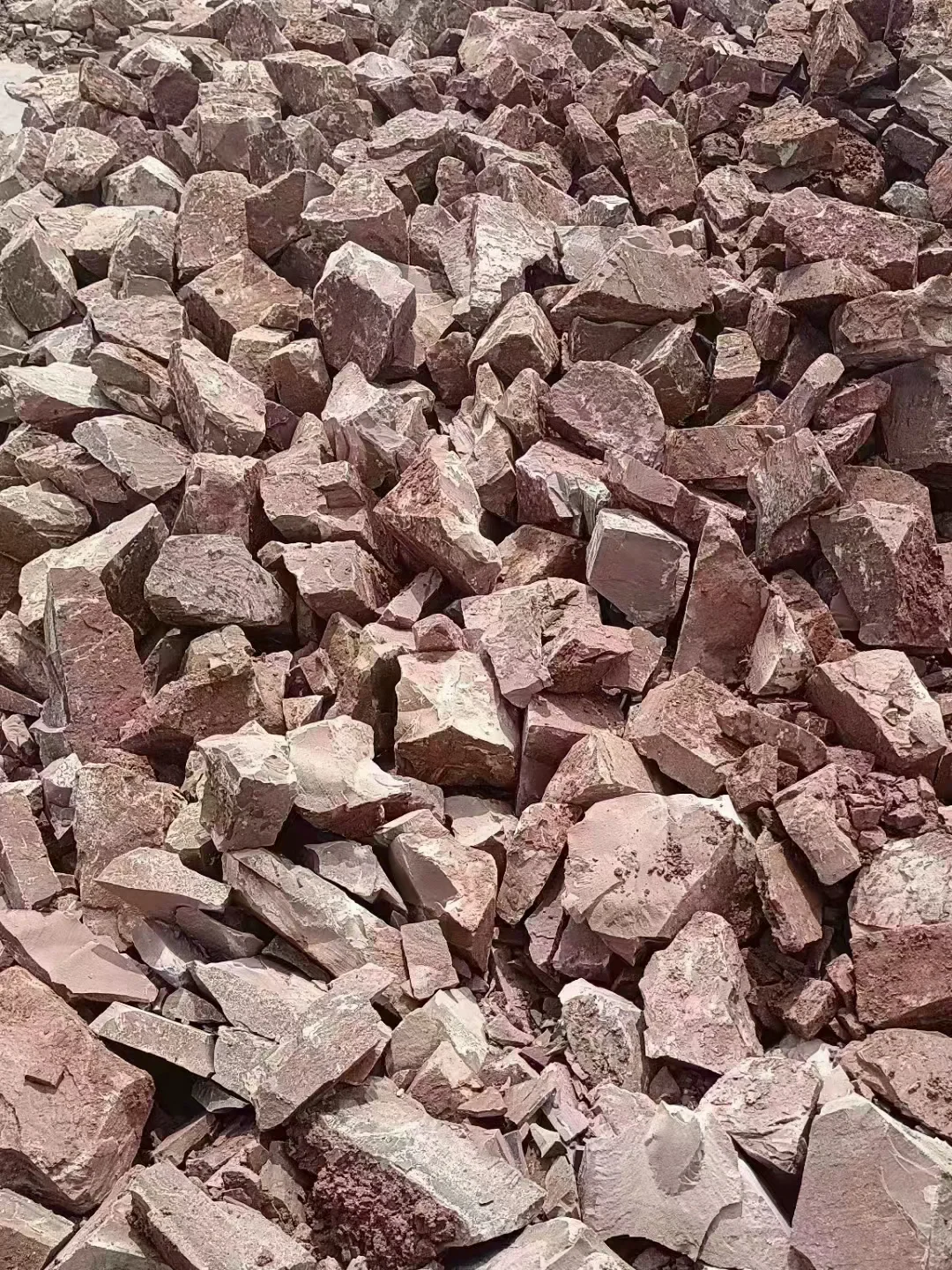 抓紧了,事业单位