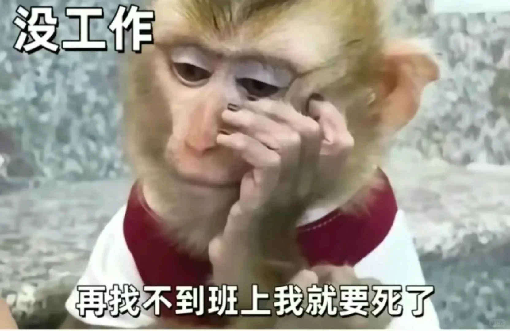 没过法考的2024毕业生好想亖