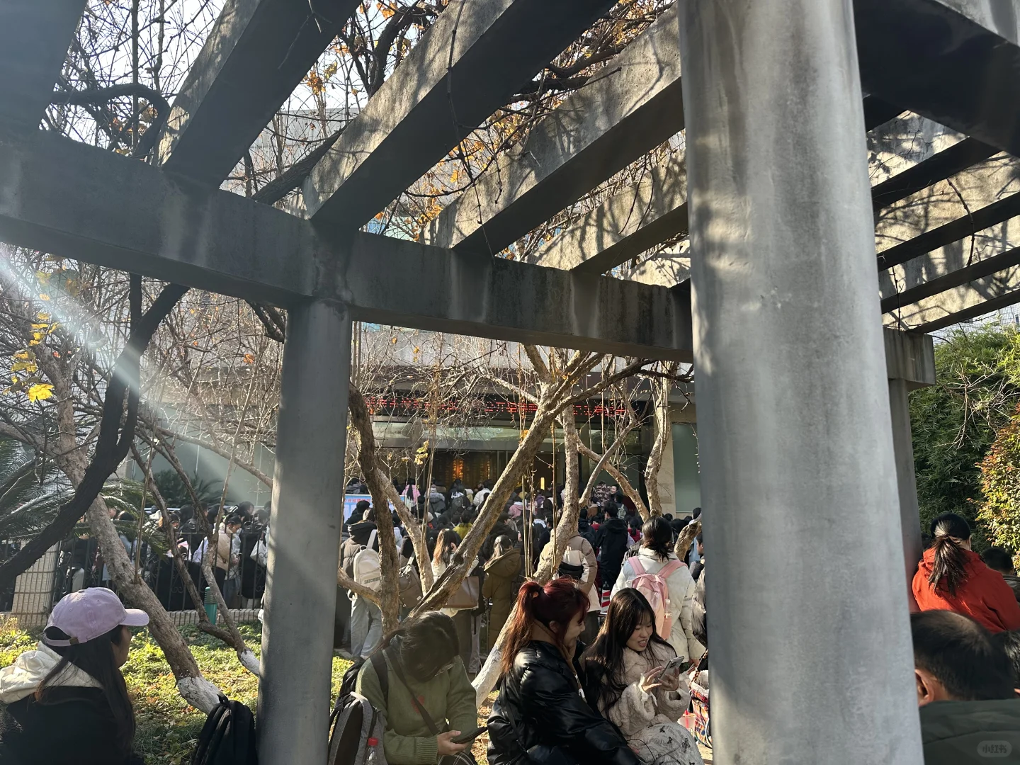 只要卷不死，就继续卷