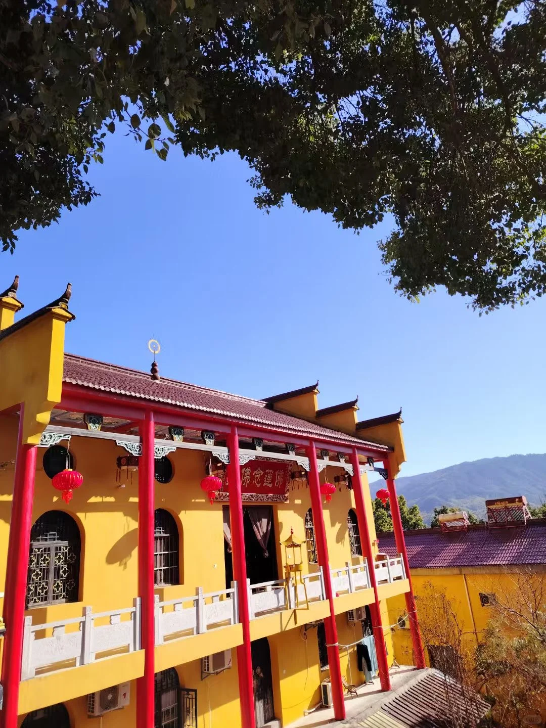 九华山后山招聘