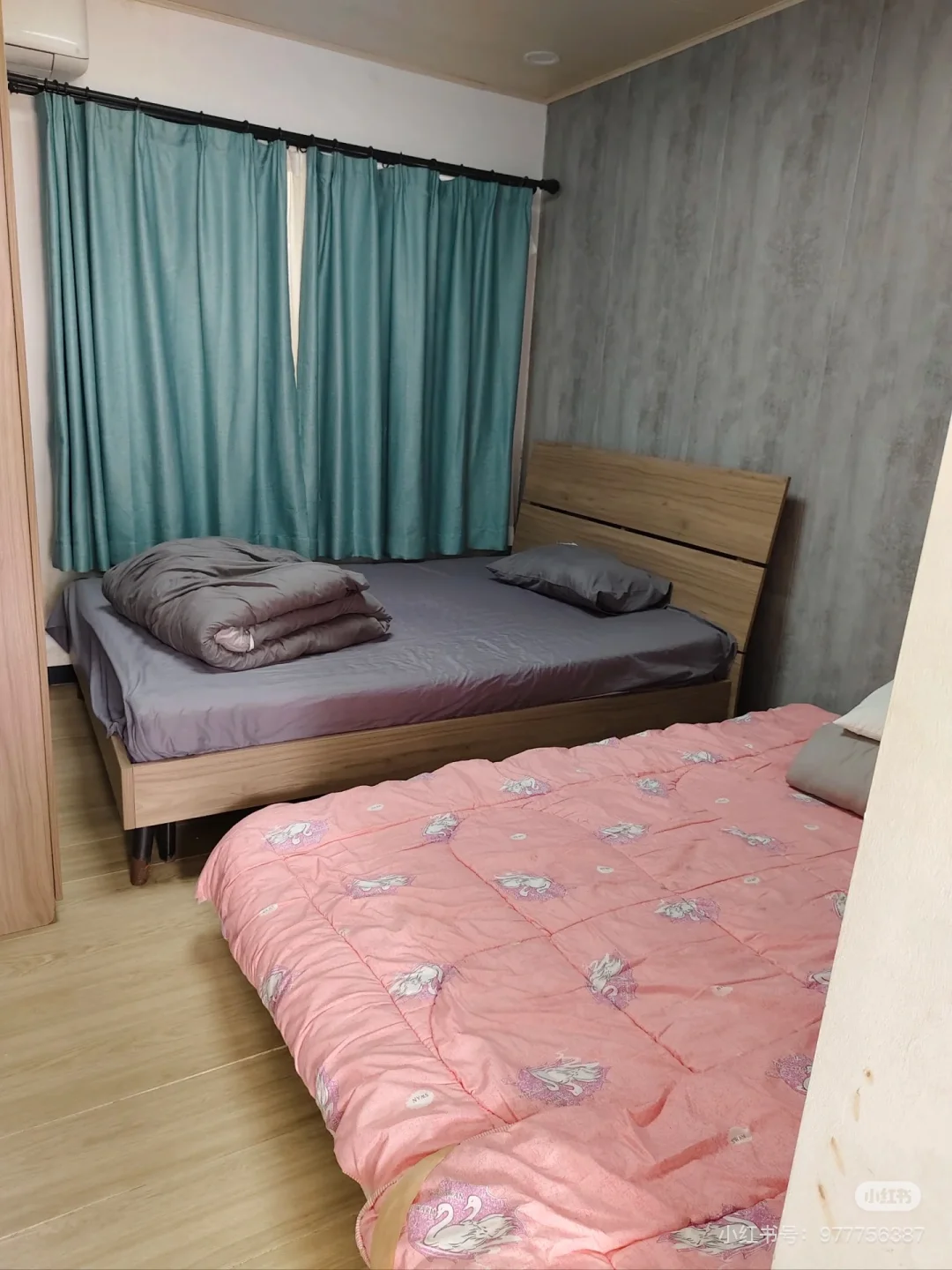 巨星农牧-报名中线上