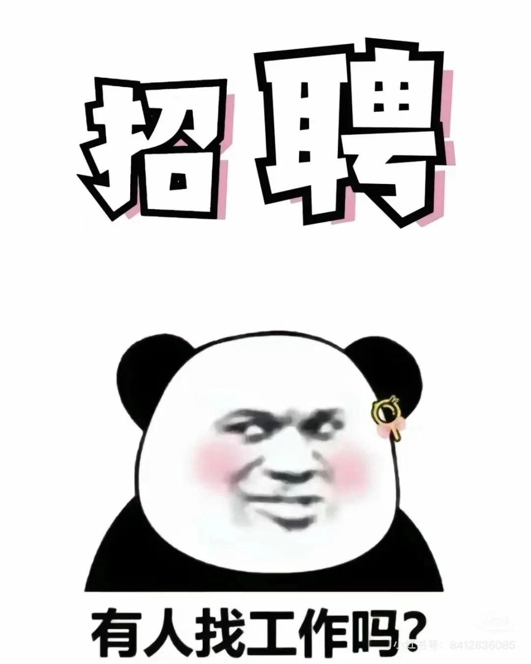 有全职建造师么