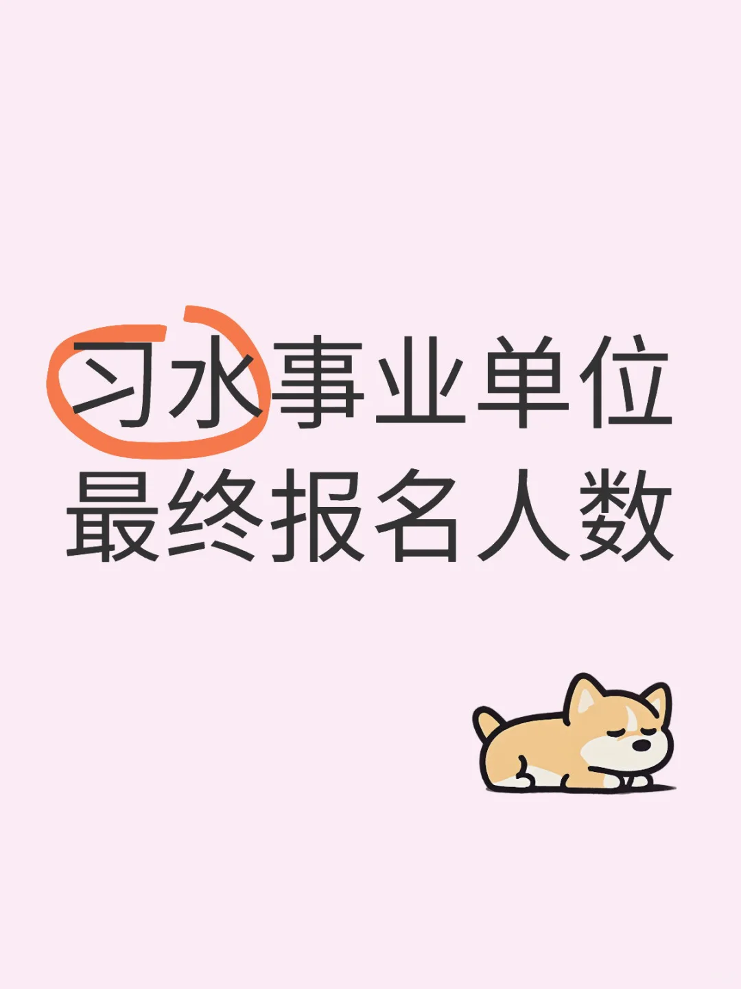 习水最终报名人数出啦？