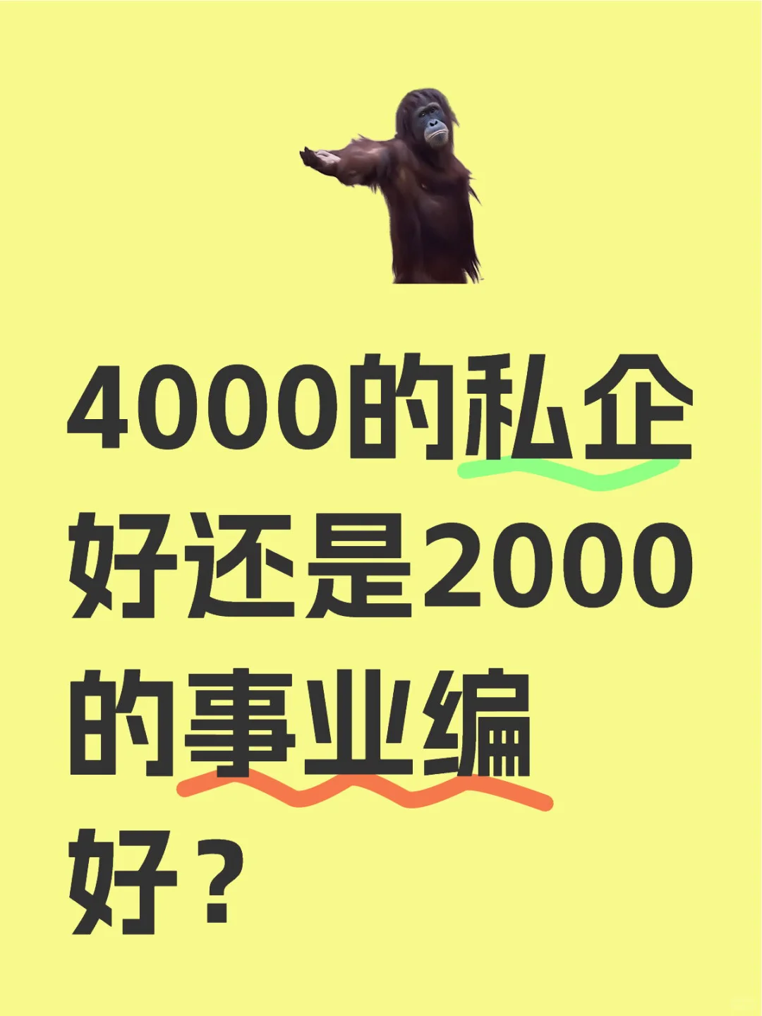 路过的进来给我个建议！！