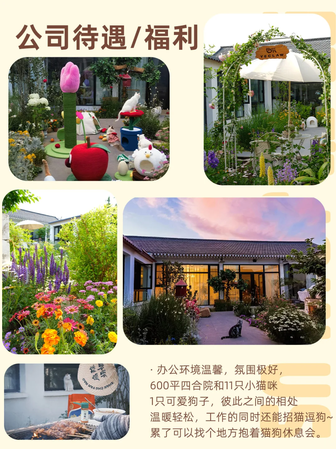 也爪招聘啦～爱毛孩子的你快来！
