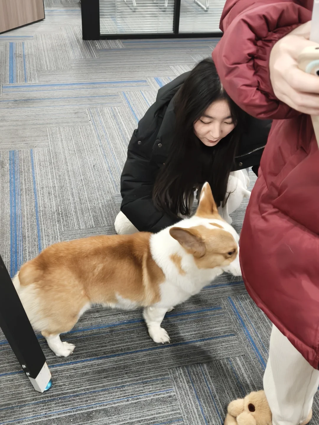 00后初创公司！年后招人！