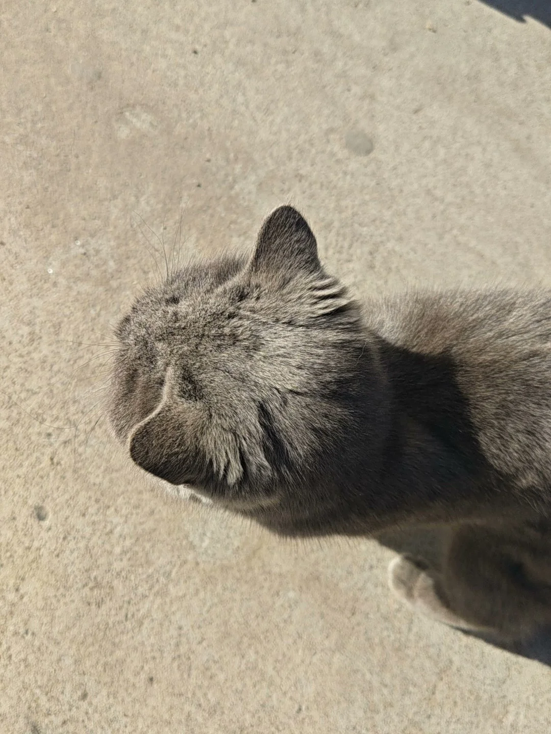 普硕历史老师+班主任想转行的第二天