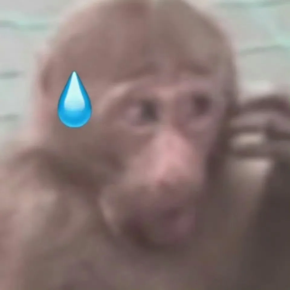 情人节限时招聘一个有缘人