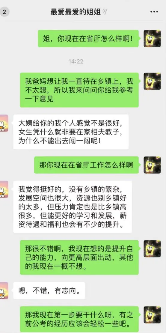 遴选上岸省T的姐姐说遴选要早点准