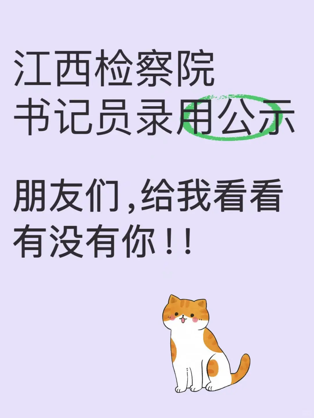 检察院书记员录用公示了！