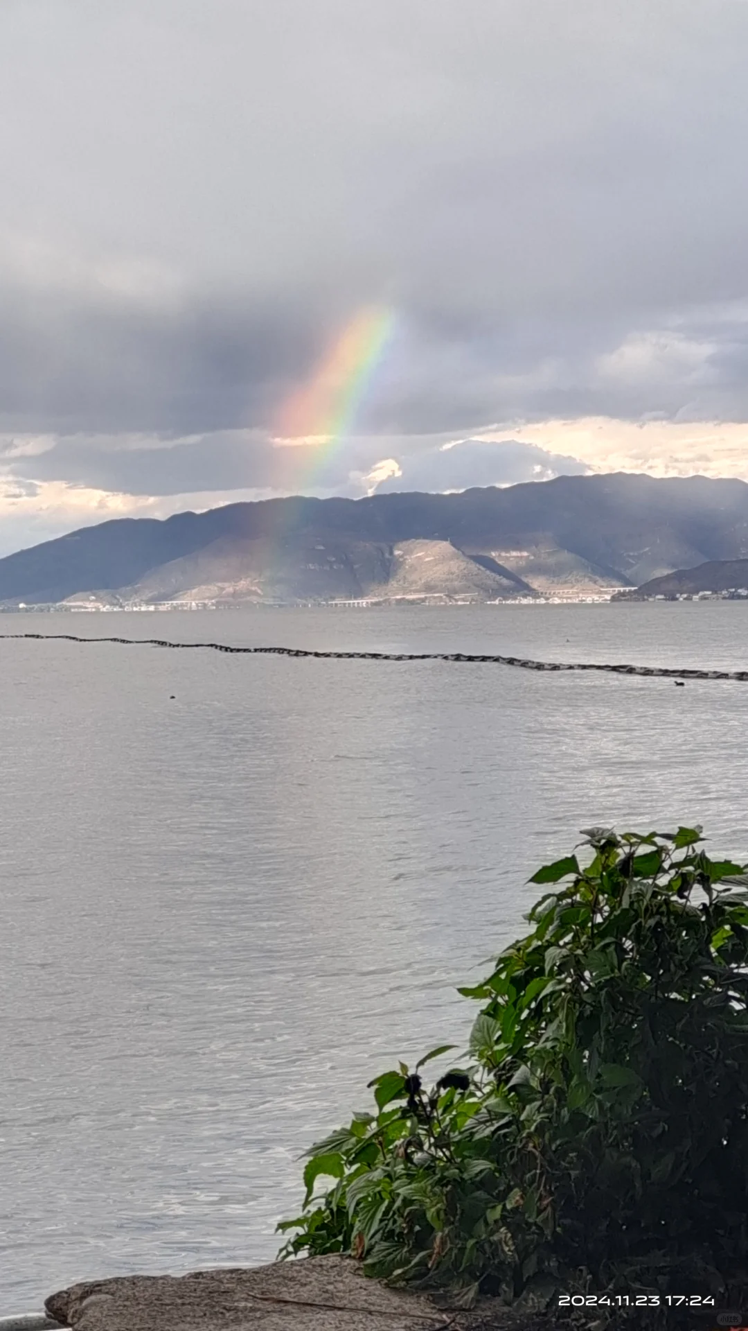 大理洱海边咖啡车招聘