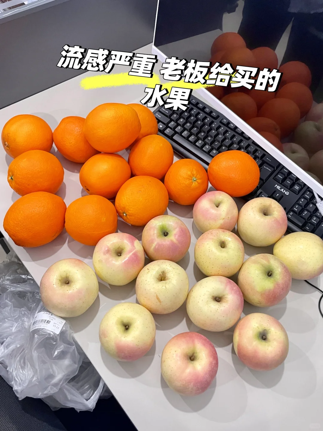 重生之我在助贷公司做招聘