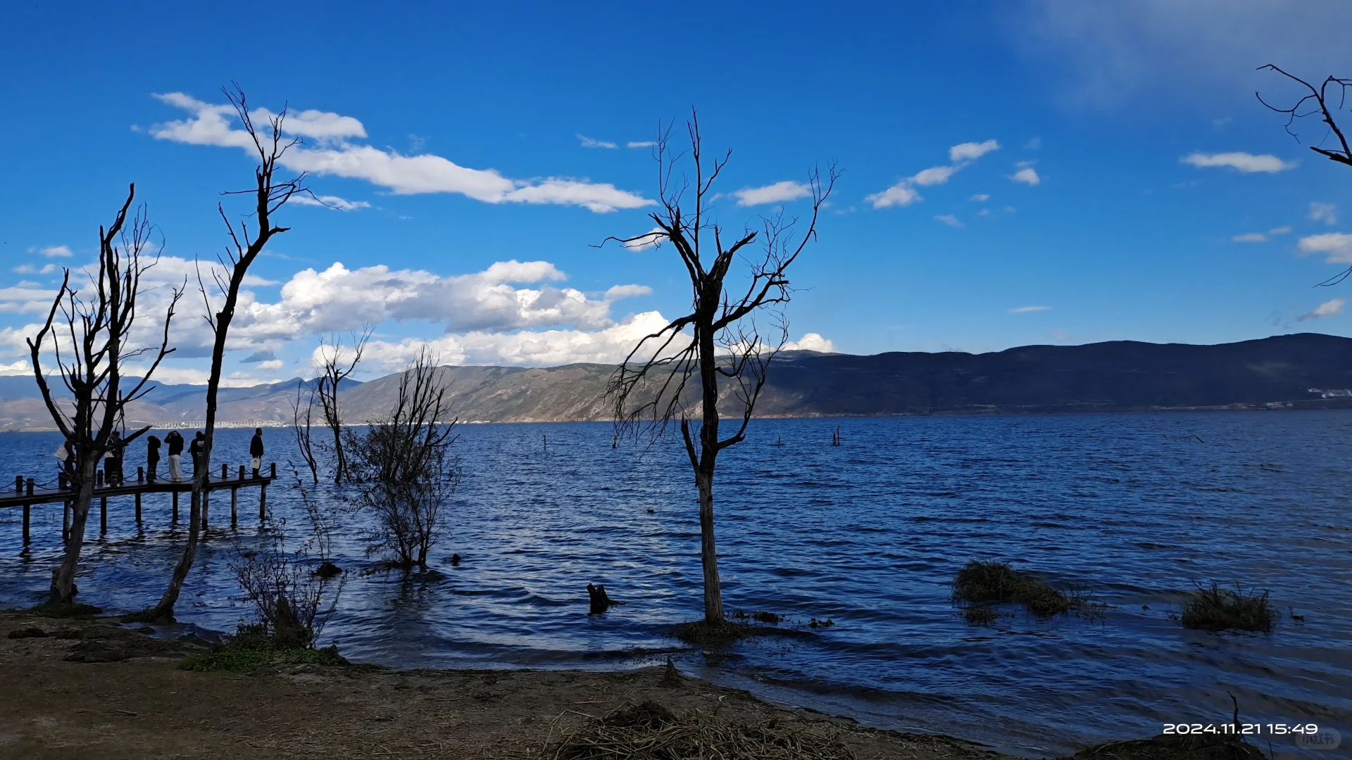大理洱海边咖啡车招聘