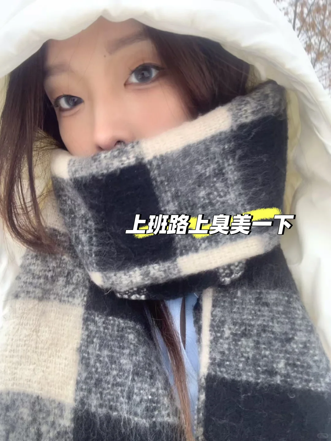 重生之我在助贷公司做招聘