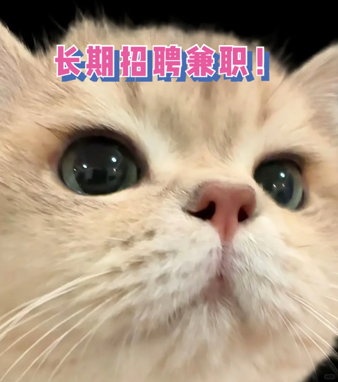 不限区域，时间招聘兼职！