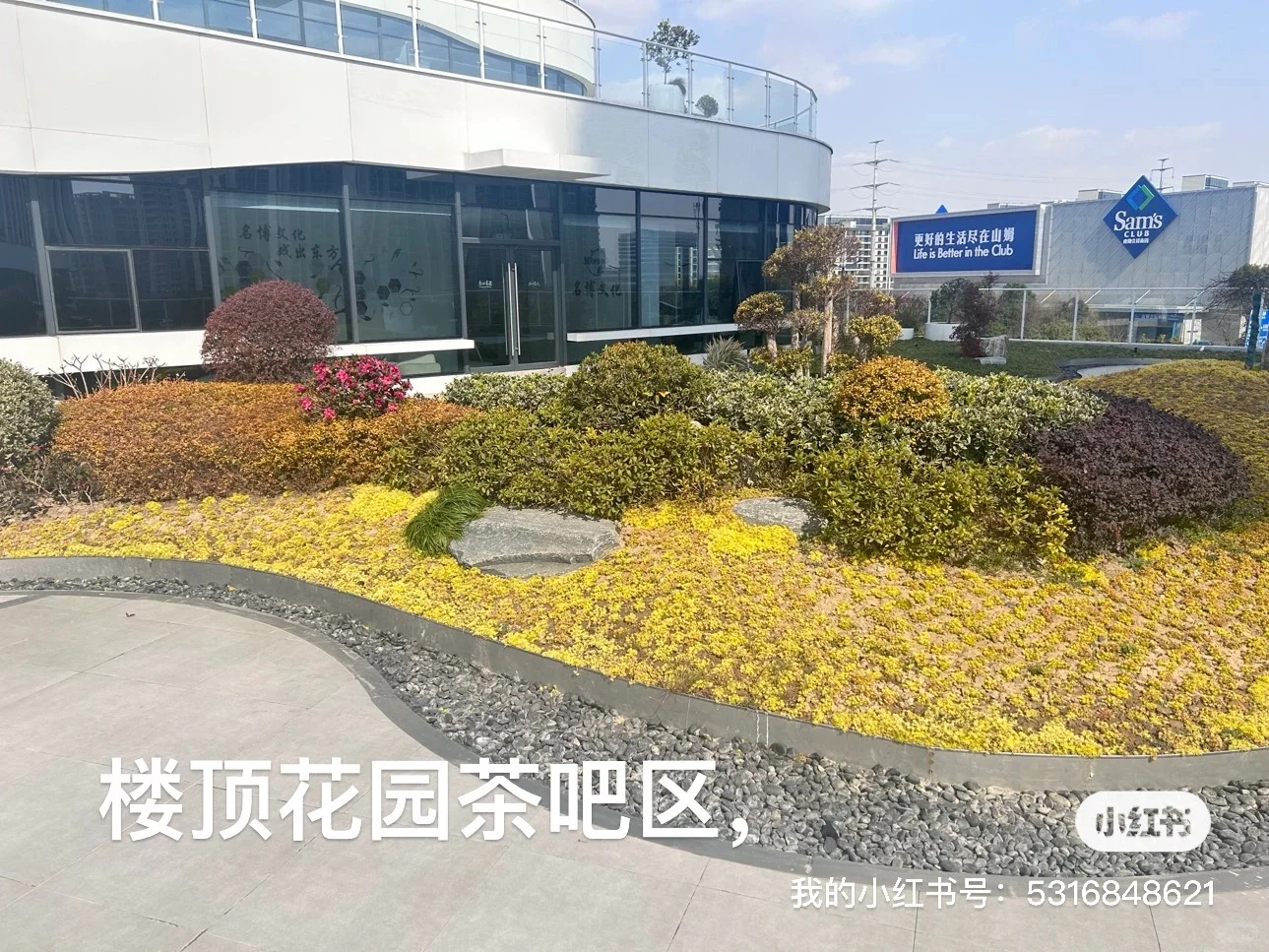 嘉兴新开（北影）合作最大传媒公司，岗位多多
