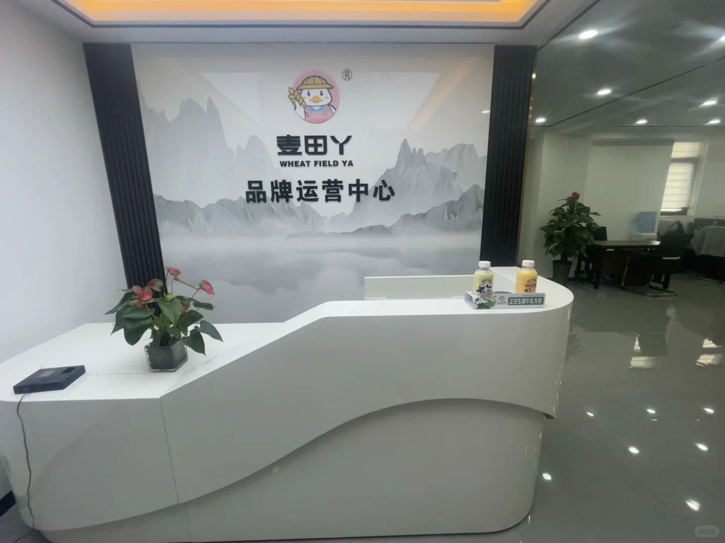 高薪稳定不加班，长期发展无压力！