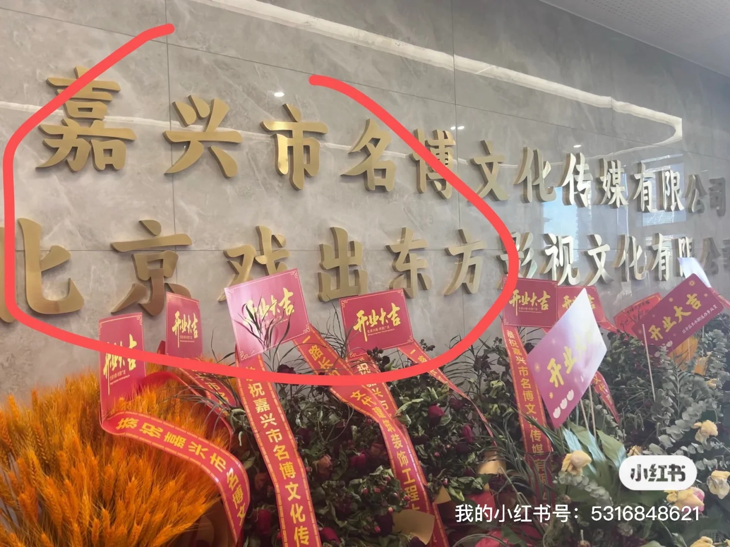 嘉兴新开（北影）合作最大传媒公司，岗位多多