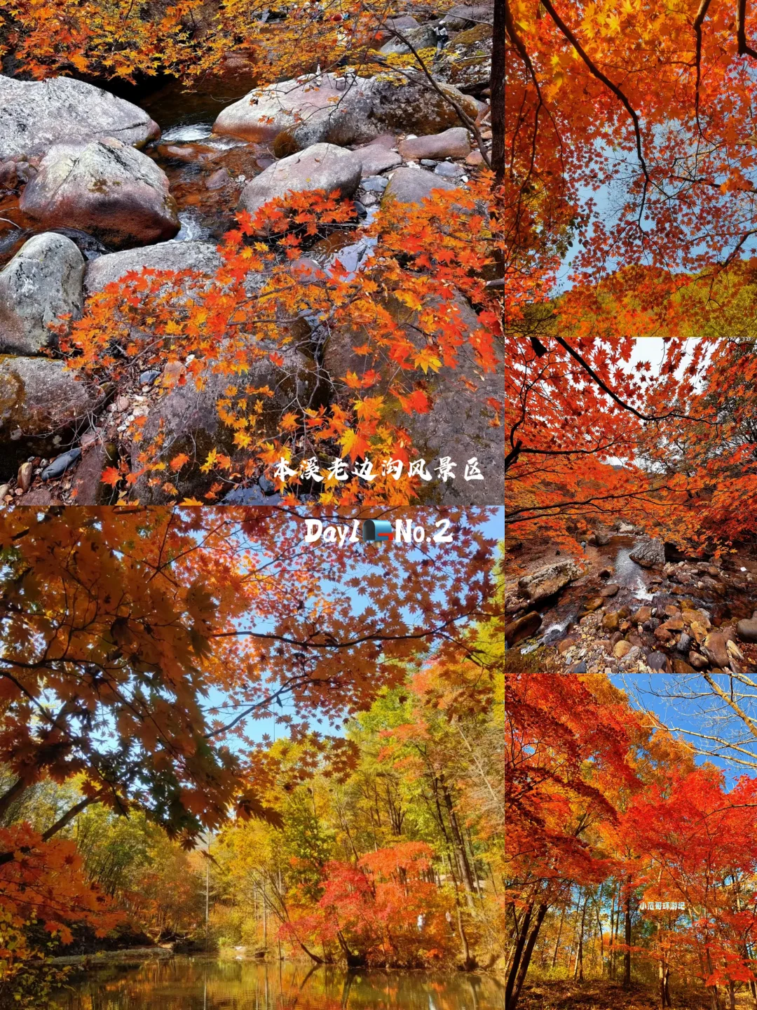 一年去150座城市🎉第125站📍 本溪✅