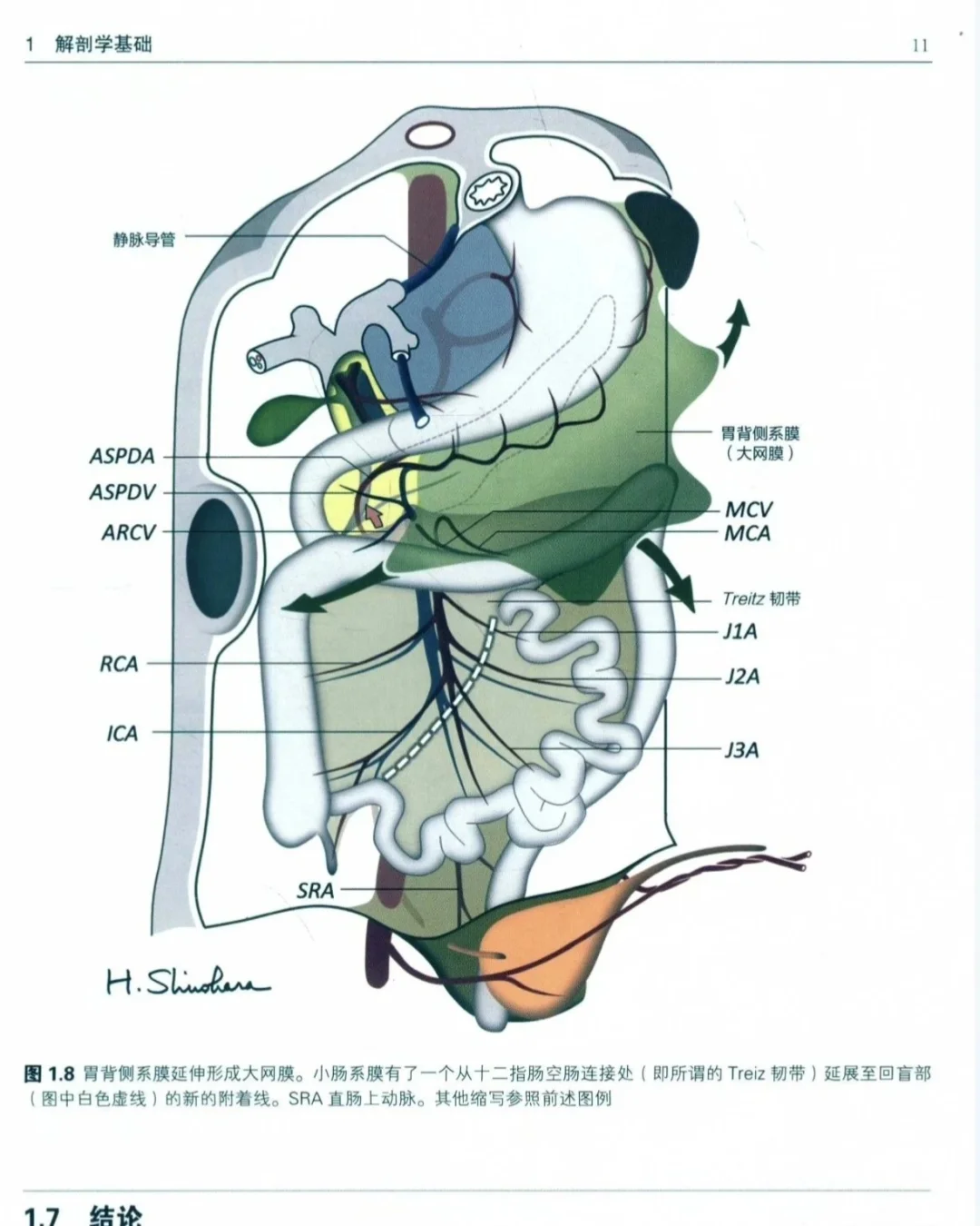 19本消化道外科学合集