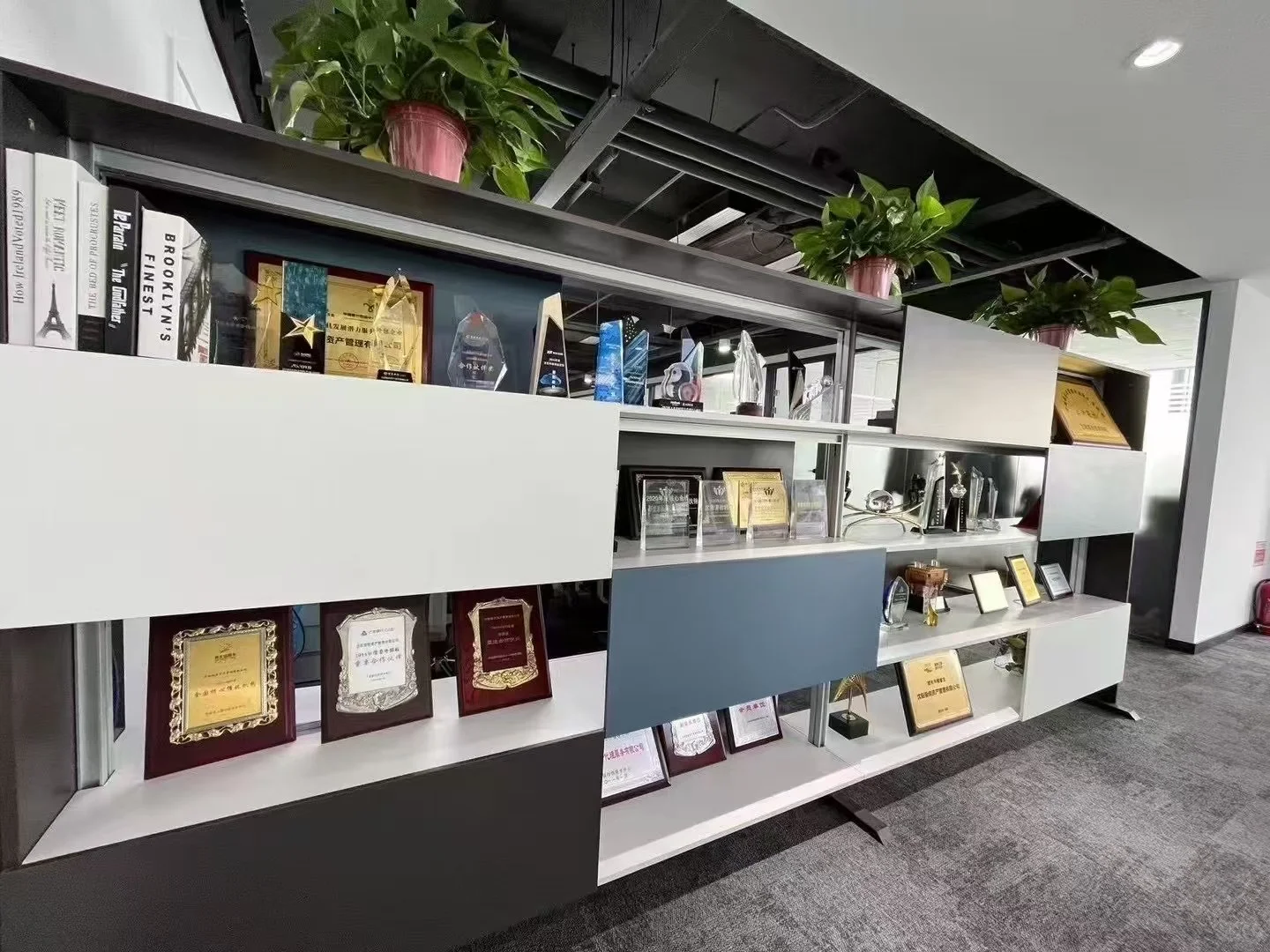 综合专员-双休法休，五险一金，有来的吗