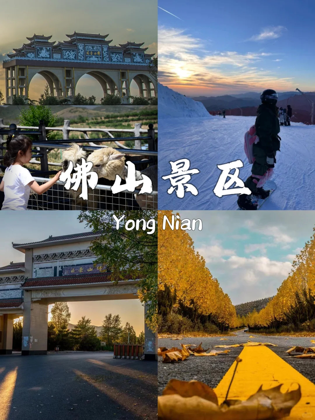 ✨🏞永年旅游这些景点你绝不能错过！